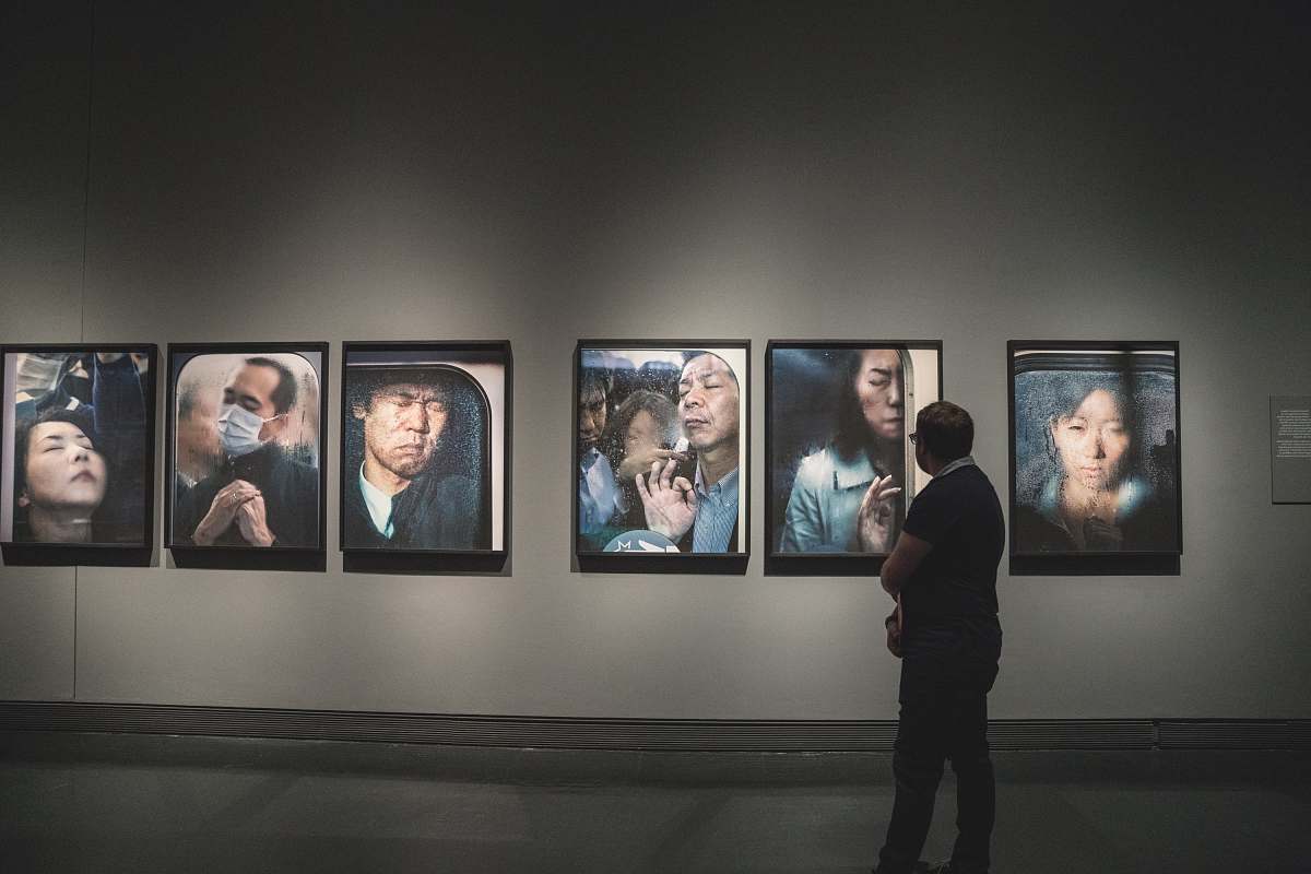 art gallery man looking at paintings on wall human